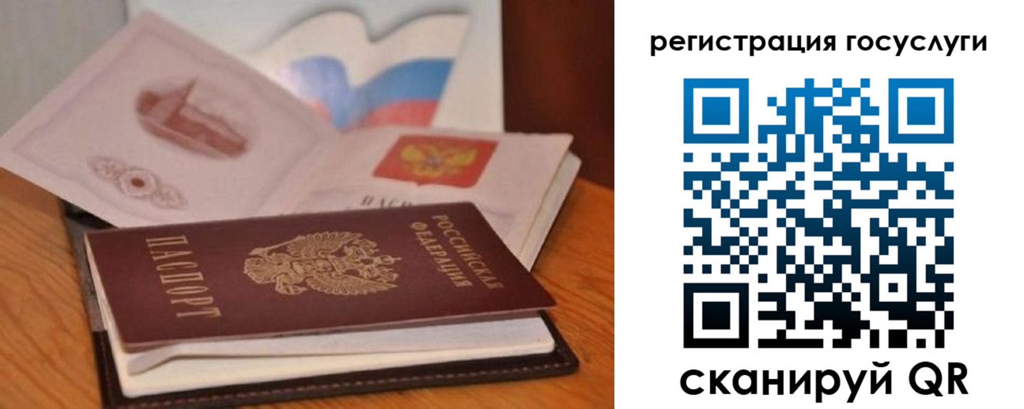 прописка законно в Химках